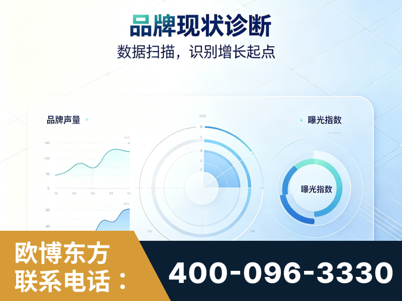 泰兴-品牌现状诊断