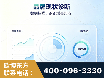 泰兴-品牌现状诊断