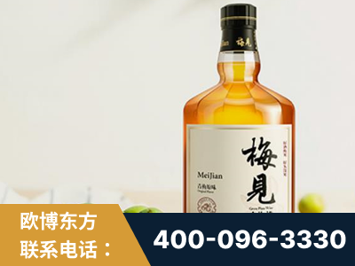 泰兴-梅见青梅酒
